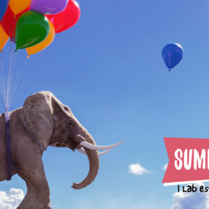 Summer-Up 2026